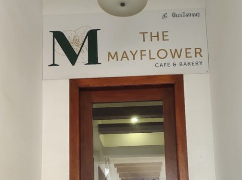 the-mayflower-28